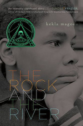 Cover image for The Rock and the River