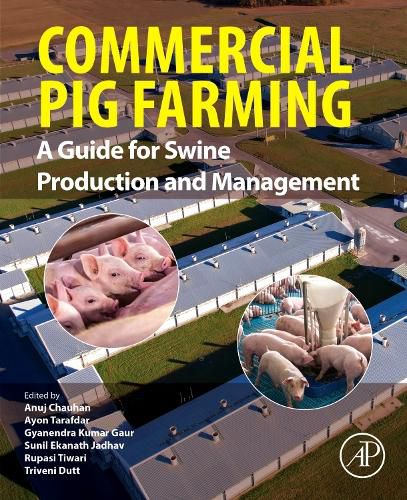 Commercial Pig Farming