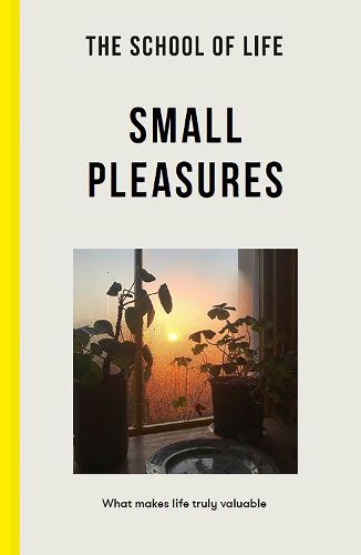Cover image for Small Pleasures: What Makes Life Truly Valuable