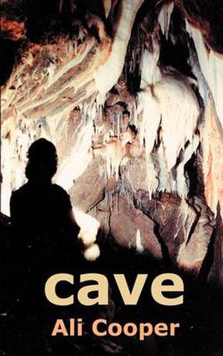 Cover image for Cave