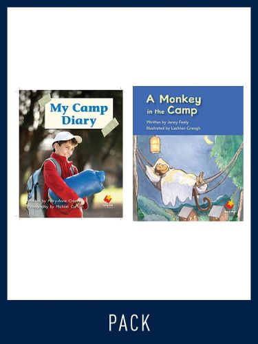 Cover image for Flying Start Guided Reading Pack Level 5, Pack 5: Paired student books (6x6) and lesson plan (1)