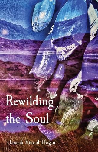 Cover image for Rewilding the Soul