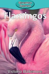 Cover image for Flamingos