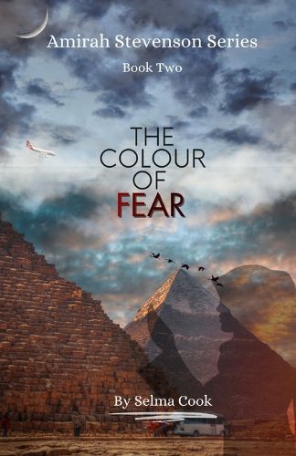 Cover image for The Colour of Fear