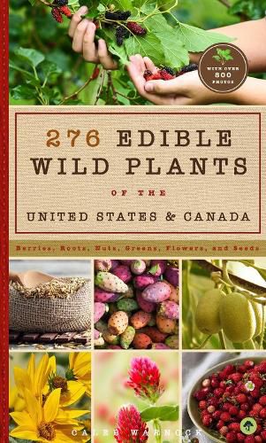 Cover image for 276 Edible Wild Plants of the United States and Canada: Berries, Roots, Nuts, Greens, Flowers, and Seeds in All or the Majority of the US and Canada