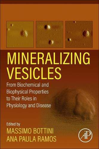 Cover image for Mineralizing Vesicles: From Biochemical and Biophysical Properties to Their Roles in Physiology and Disease