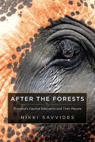 Cover image for After the Forests: Thailand's Captive Elephants and Their People