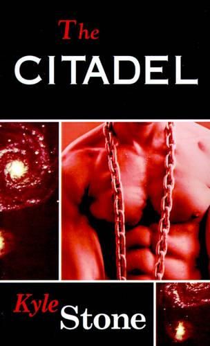 Cover image for The Citadel