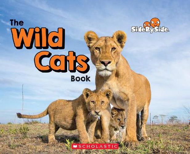 Cover image for The Wild Cats Book (Side by Side)