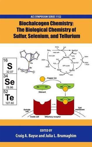 Cover image for Biochalcogen Chemistry: The Biological Chemistry of Sulfur, Selenium, and Tellurium