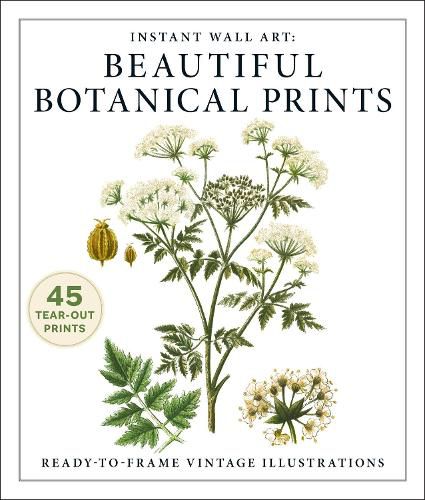 Cover image for Instant Wall Art: Beautiful Botanical Prints