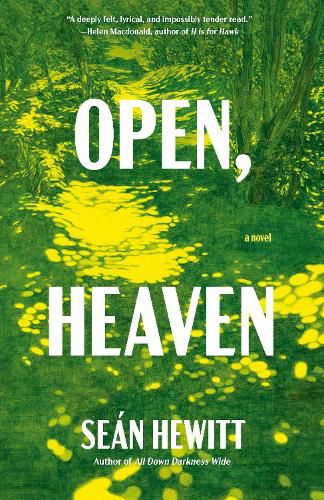 Cover image for Open, Heaven