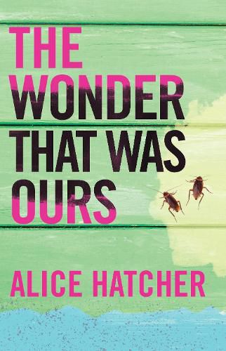 Cover image for The Wonder That Was Ours