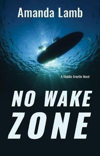 Cover image for No Wake Zone