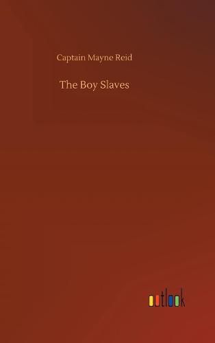 Cover image for The Boy Slaves