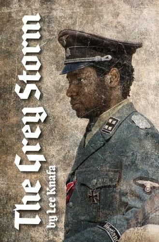 Cover image for The Grey Storm