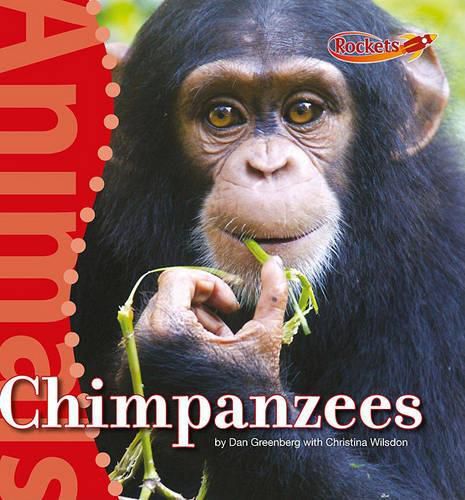 Cover image for Chimpanzees