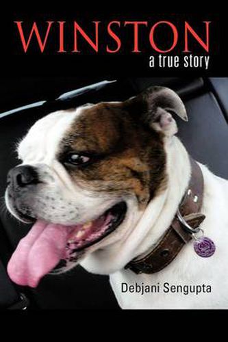 Cover image for Winston: A True Story