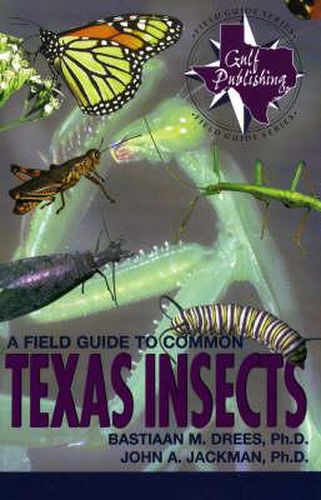 Cover image for A Field Guide to Common Texas Insects