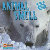 Cover image for Animal Smell