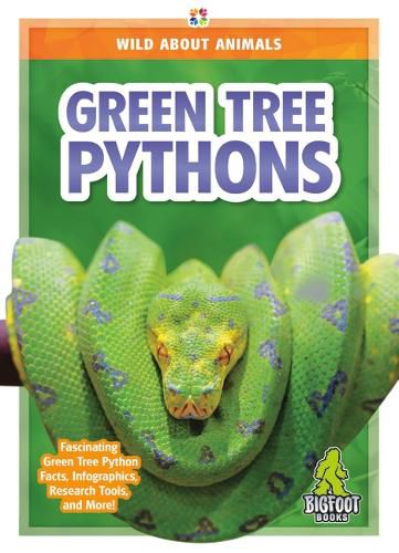 Green Tree Pythons