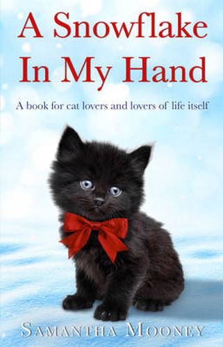 Cover image for A Snowflake In My Hand