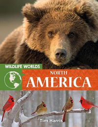 Cover image for Wildlife Worlds North America