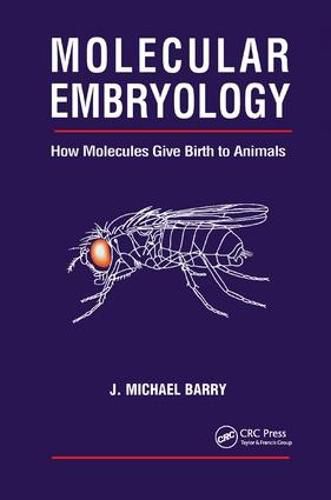 Cover image for Molecular Embryology: How Molecules Give Birth to Animals