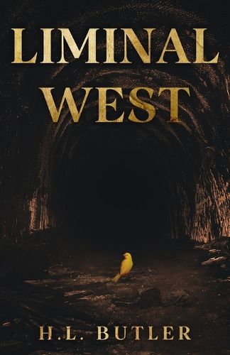 Cover image for Liminal West
