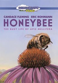 Cover image for Honeybee: The Busy Life Of Apis Mellifera 