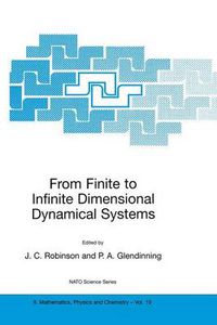 Cover image for From Finite to Infinite Dimensional Dynamical Systems