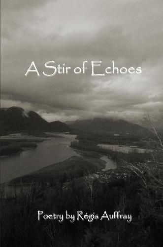 Cover image for A Stir of Echoes