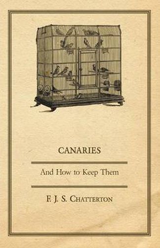 Cover image for Canaries: And How to Keep Them