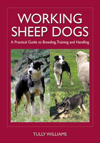 Cover image for Working Sheep Dogs: A Practical Guide to Breeding, Training and Handling