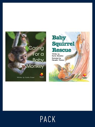 Cover image for Flying Start Guided Reading Pack Level 13, Pack 2: Paired student books (6x6) and lesson plan (1)