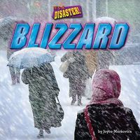 Cover image for Blizzard