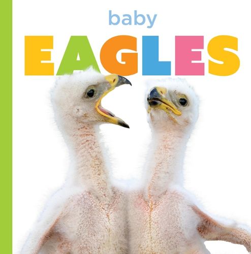 Cover image for Baby Eagles