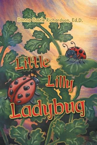 Cover image for Little Lilly Ladybug