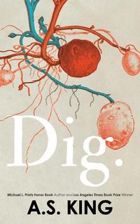 Cover image for Dig