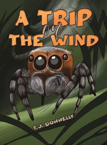 Cover image for A Trip on the Wind