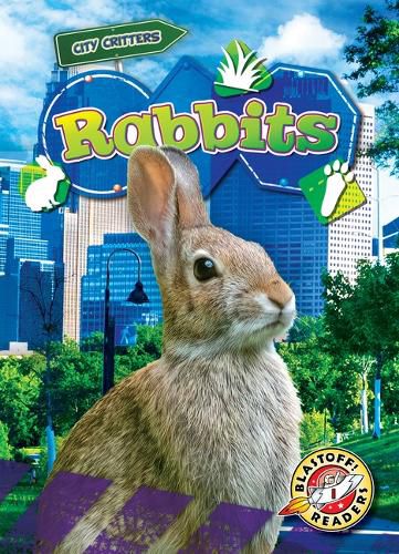 Cover image for Rabbits