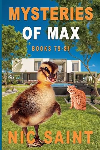 Cover image for Mysteries of Max