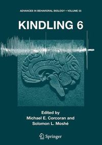 Cover image for Kindling 6