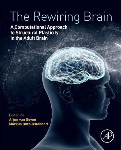 Cover image for The Rewiring Brain: A Computational Approach to Structural Plasticity in the Adult Brain