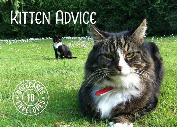 Cover image for Kitten Advice Notecards