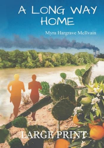 Cover image for A Long Way Home