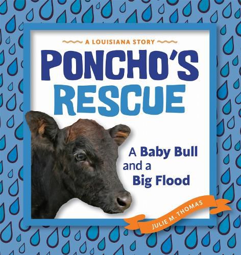 Cover image for Poncho's Rescue: A Baby Bull and a Big Flood