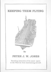 Cover image for Keeping Them Flying