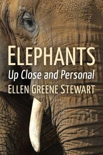 Cover image for Elephants: Up Close and Personal