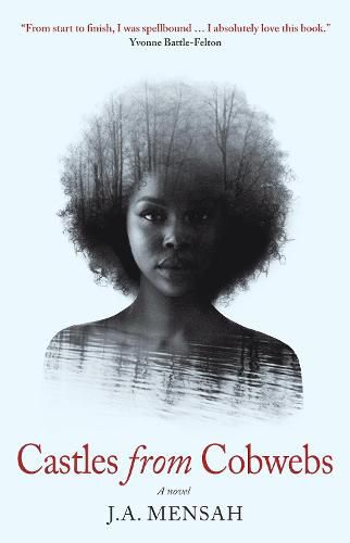 Cover image for Castles from Cobwebs